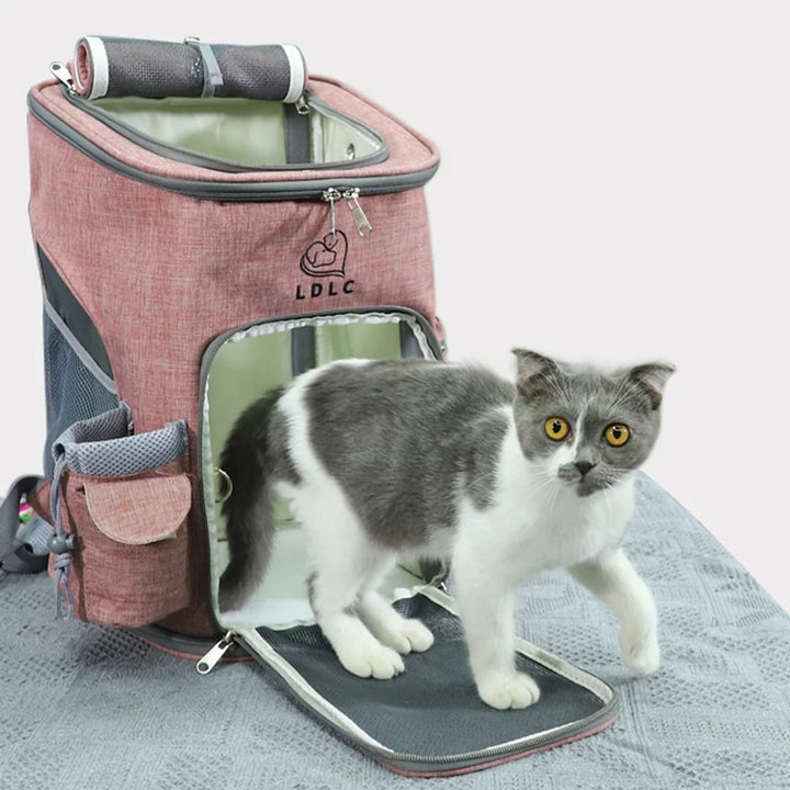 Sac à dos de transport pour animaux de compagnie, sac à bandoulière respirant pour voyage en plein air pour petits chiens et chats, emballage Portable, transport de fournitures pour animaux de compagnie