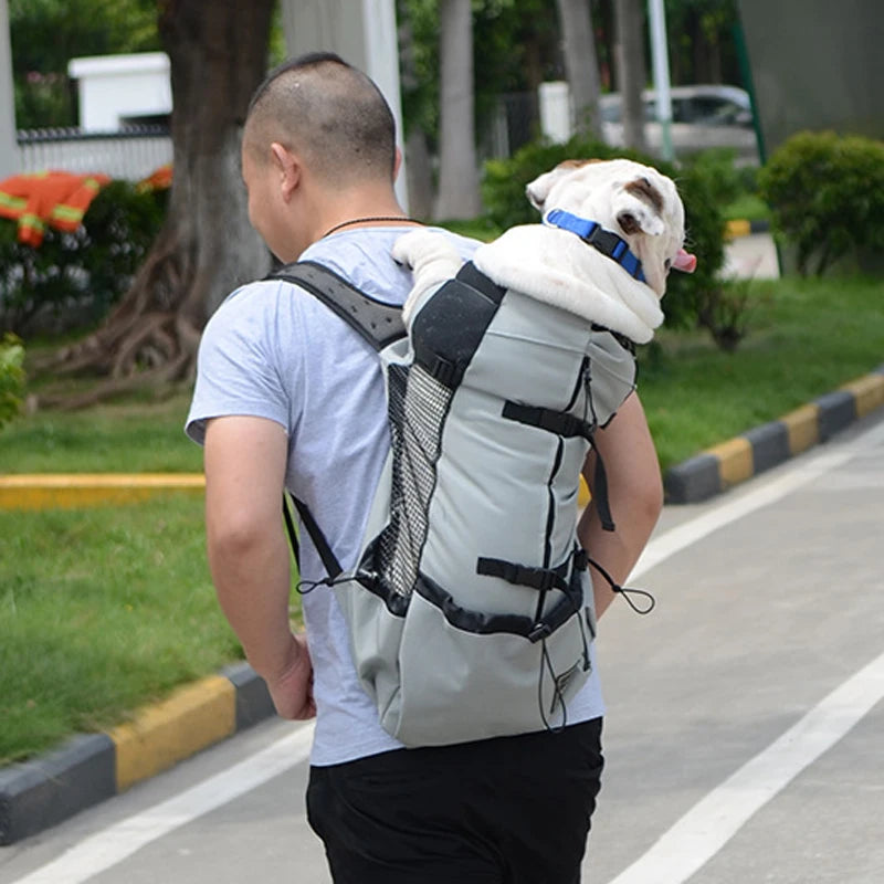 Sac à dos d'extérieur à Double épaule pour chien, sac de transport réfléchissant réglable pour chiens bouledogue français carlin, sac à dos de transport pour voyage