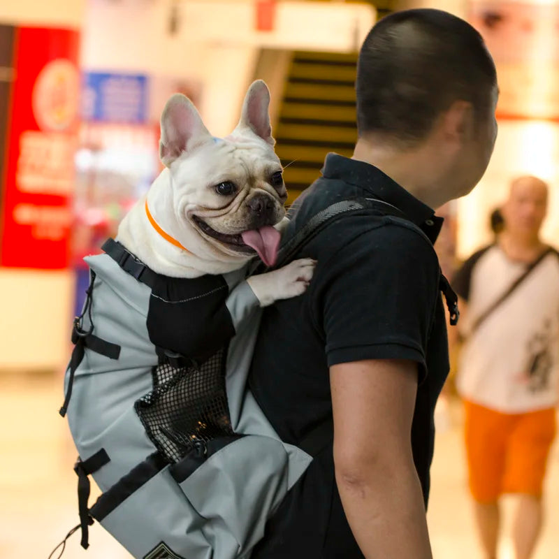 Sac à dos d'extérieur à Double épaule pour chien, sac de transport réfléchissant réglable pour chiens bouledogue français carlin, sac à dos de transport pour voyage