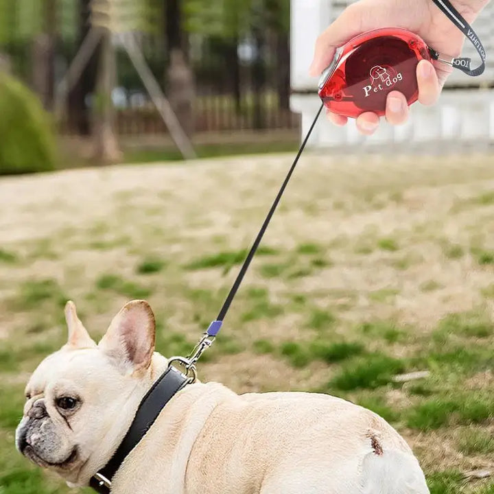 Laisse rétractable premium pour chien
