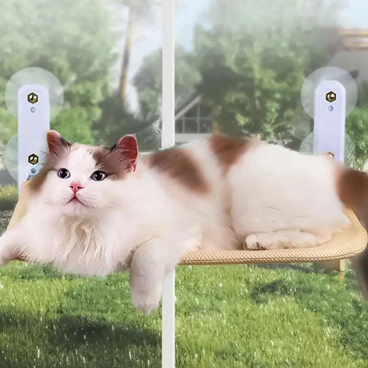 Hamac de fenêtre pour chats