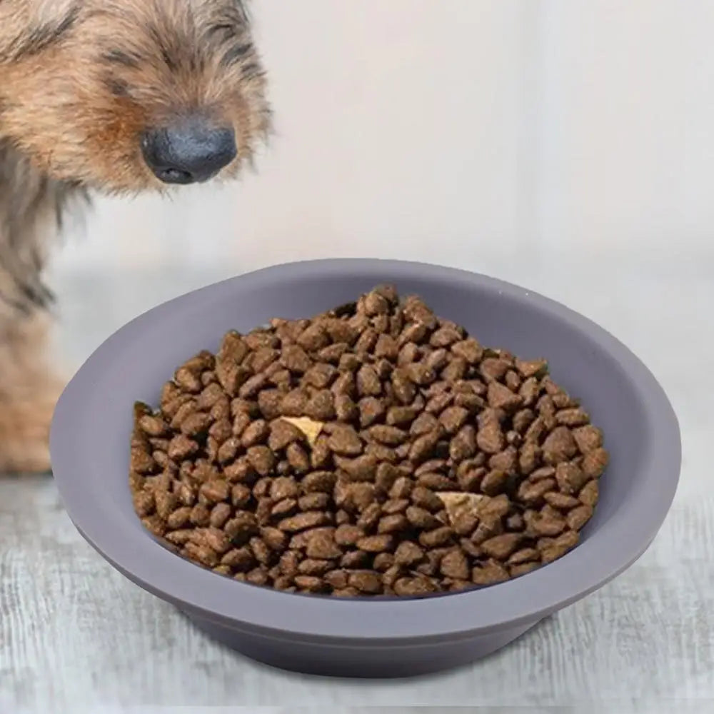 Gamelle en Silicone à Alimentation Lente pour Chiens – Design Mignon & Double Face