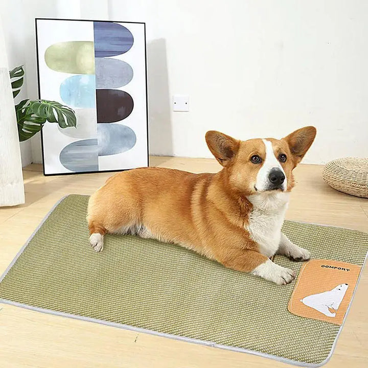 Tapis Rafraîchissant pour Animaux de Compagnie