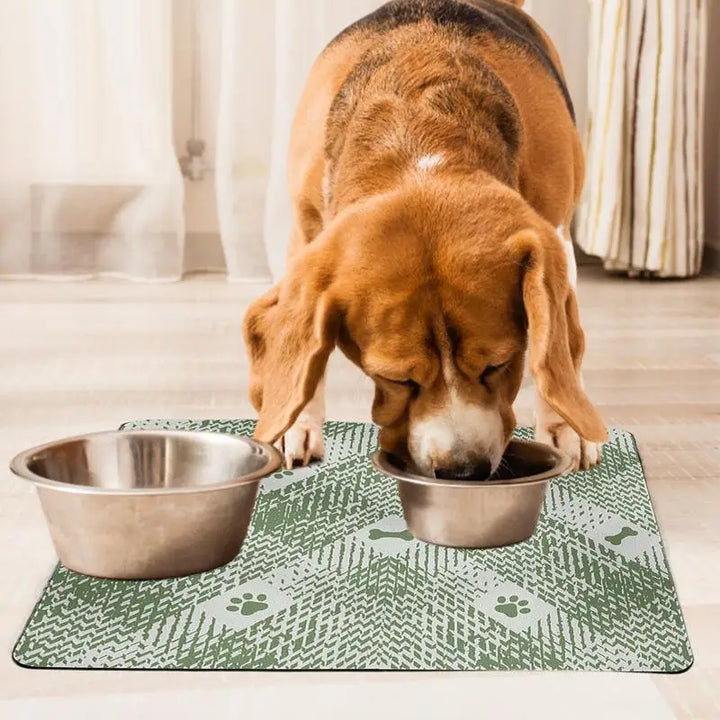 Tapis Sobre et Élégant pour Chien et Chat