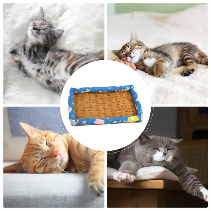 Tapis rafraîchissant chien et chat