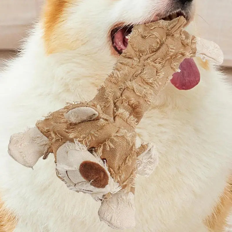 Jouet Couineur Indestructible en Forme d'Ours pour Chien