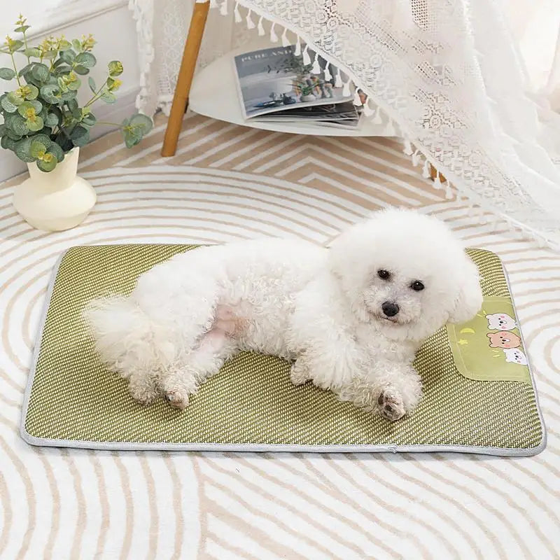 Tapis Rafraîchissant pour Animaux de Compagnie