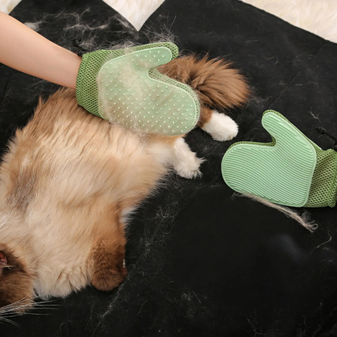 Brosse Gant pour chien et chat