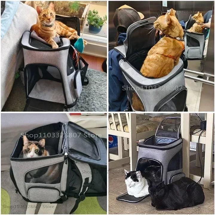 Sac à dos de Transport pour animaux de compagnie, respirant, pliable, sac de voyage, extensible, grande capacité, créatif pour chats et chiens