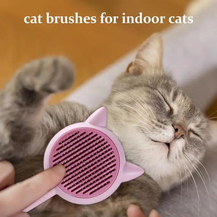 Brosse Autonettoyante Innovante