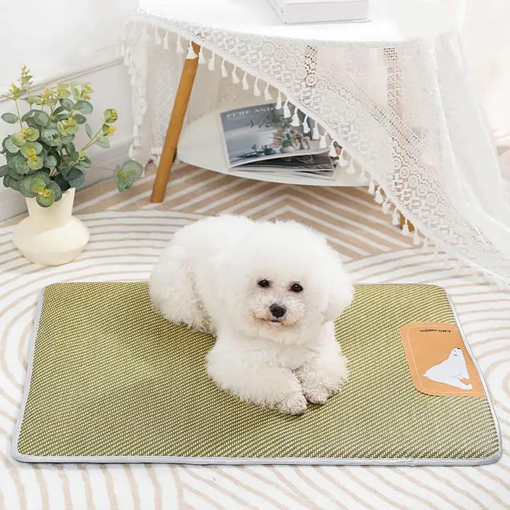 Tapis Rafraîchissant pour Animaux de Compagnie