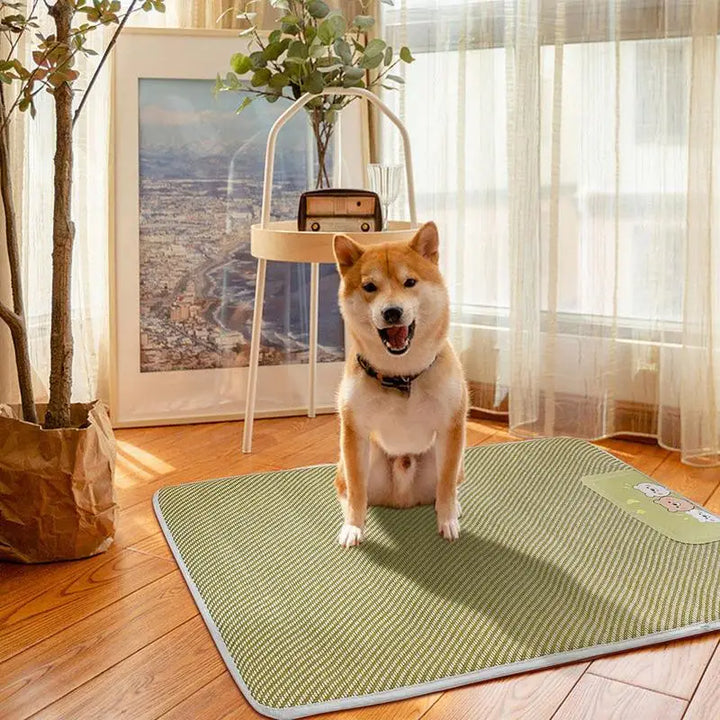 Tapis Rafraîchissant pour Animaux de Compagnie