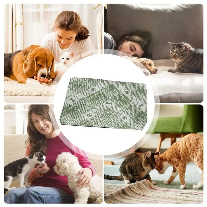 Tapis Sobre et Élégant pour Chien et Chat