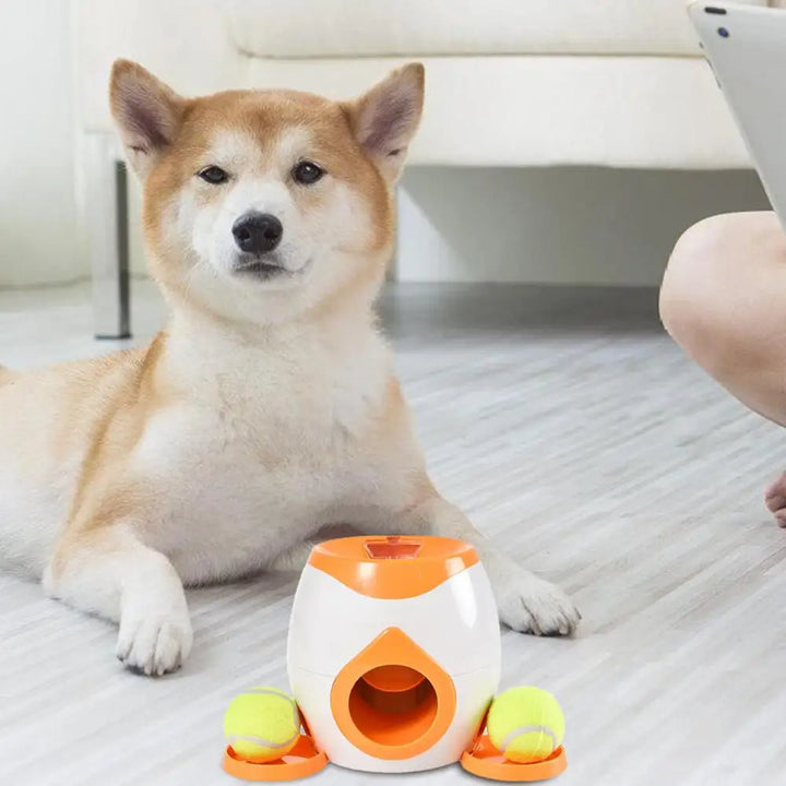 Lanceur de balles interactif pour chien