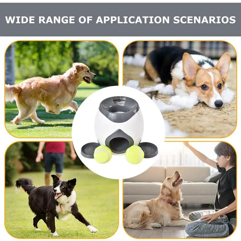 Lanceur de balles interactif pour chien