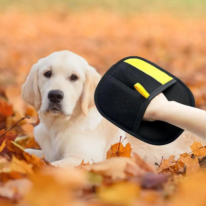 Gant pour Chat et Chien Brosse