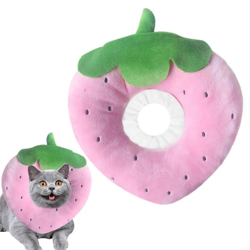 Collerette pour chat fruits