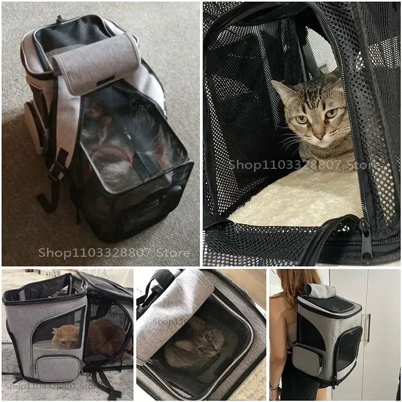 Sac à dos de Transport pour animaux de compagnie, respirant, pliable, sac de voyage, extensible, grande capacité, créatif pour chats et chiens